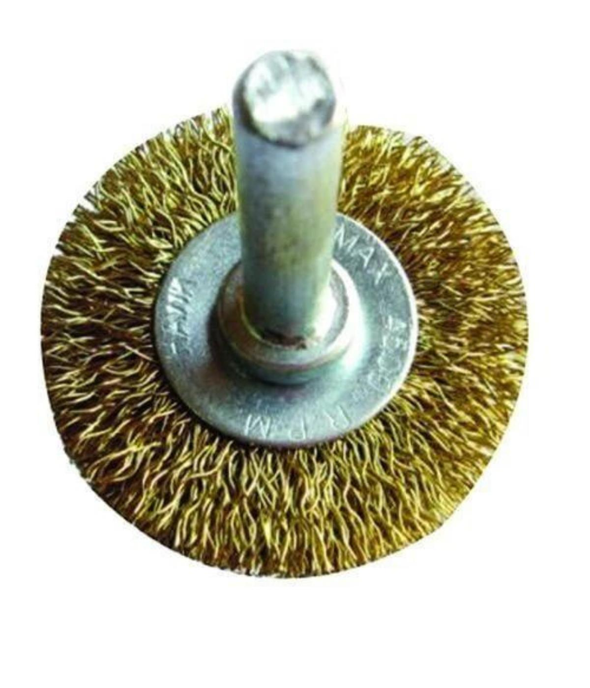 Astor Pimli Daire Fırça 100X6