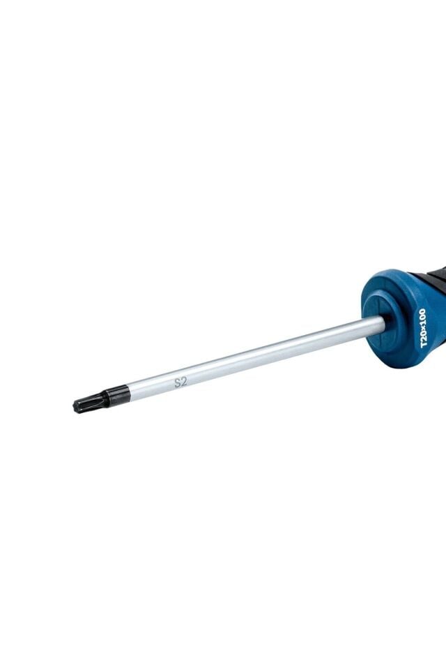Bosch Profesyonel T20 x 100 mm Deliksiz Torx Tornavida (1600A01V0C)