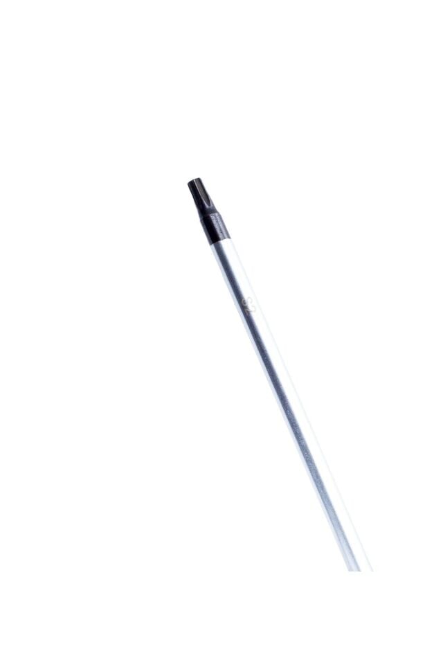 Bosch Profesyonel T20 x 100 mm Deliksiz Torx Tornavida (1600A01V0C)